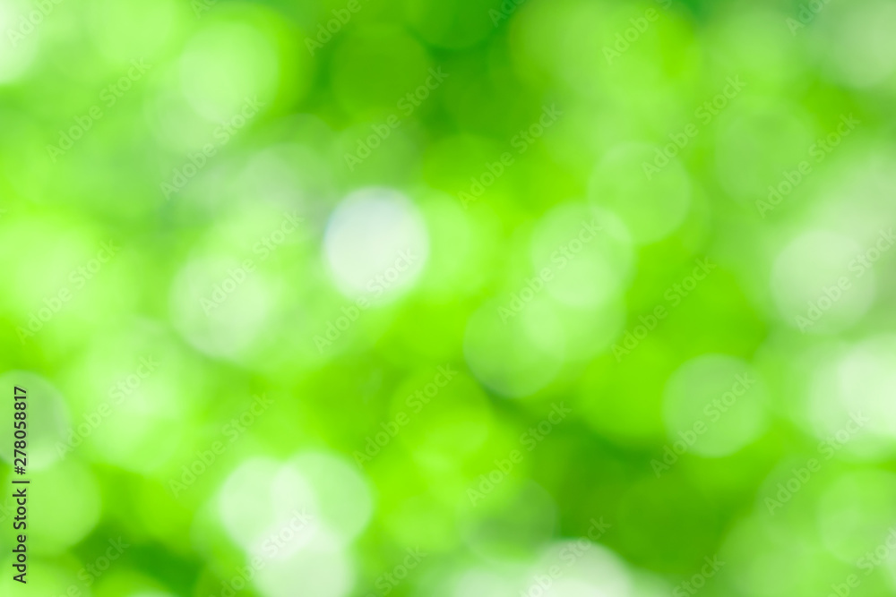 green summer bokeh
