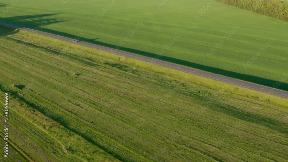 Aerial shot over the field. View of the field with crops. Nearby is the road on which cars drive. Sunny morning. Aerial shot over the field. View of the field with crops. Nearby is the road on which cars drive. Sunny morning.