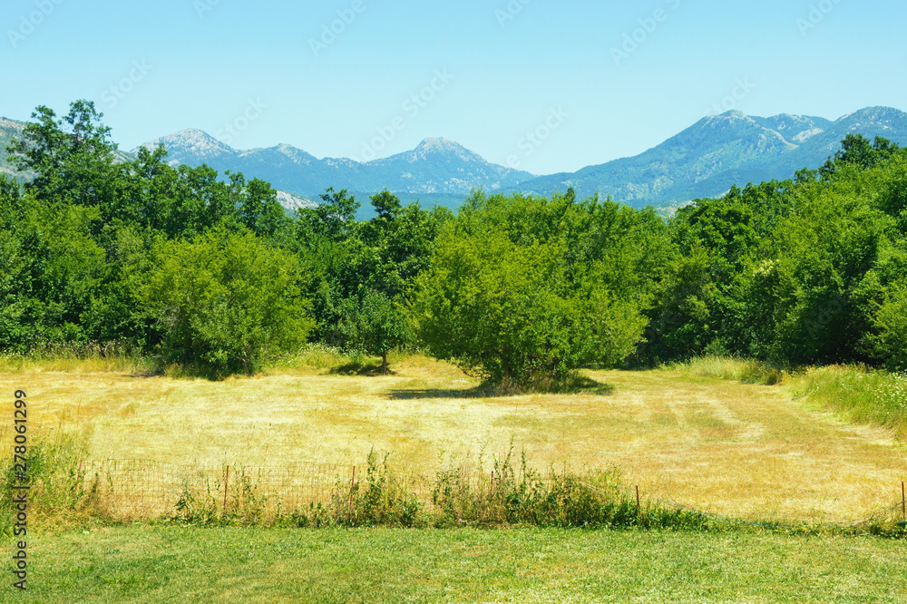 Bosnian countryside landscape on a sunny summer day. Bosnia and Herzegovina, Republika Srpska, Tuli region