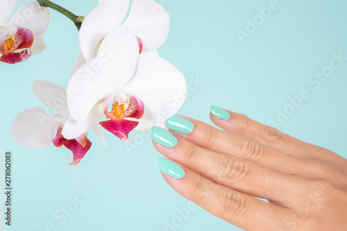 Young woman hand with a turquoise color nails polish and white orchids flower isolated on soft blue background in studio. Manicure and beauty concept. Close up, selective focus
