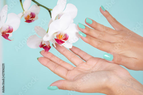 Woman hands with a turquoise color manicure and white orchids flower isolated on soft blue background in studio. Manicure and beauty concept. Close up  selective focus
