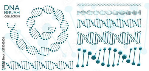 Human dna chain or genome helix molecule seamless lines