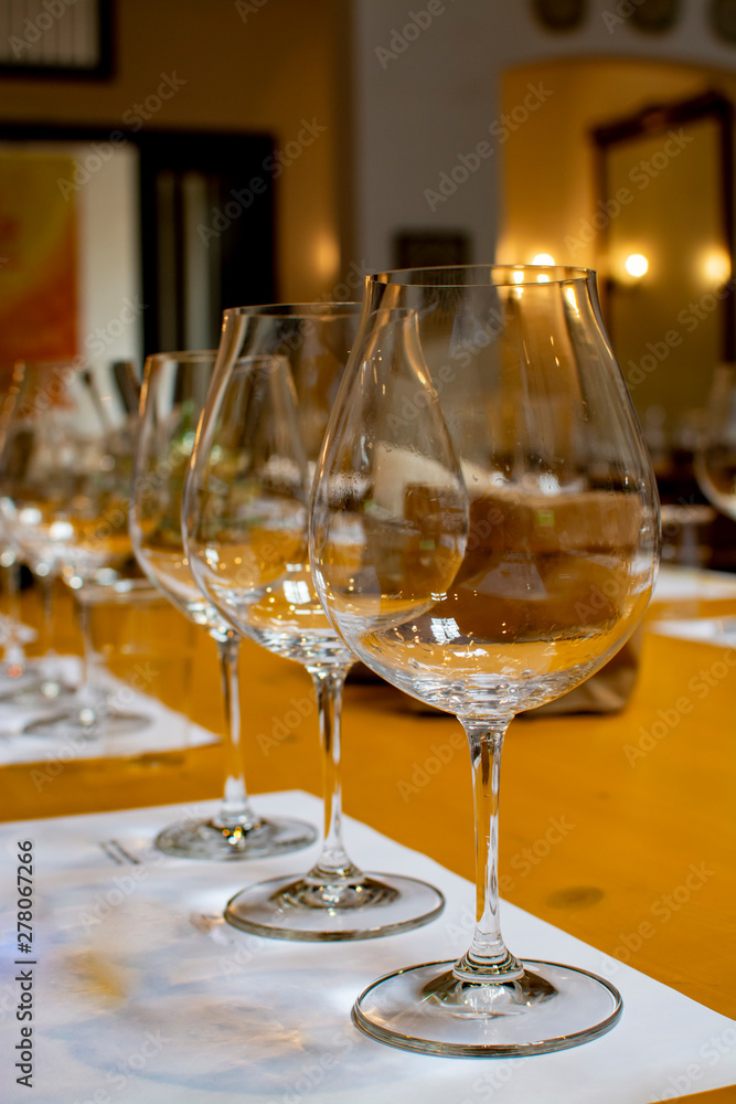 Professional wine tasting, sommelier course, clean empty wine glasses for different wines