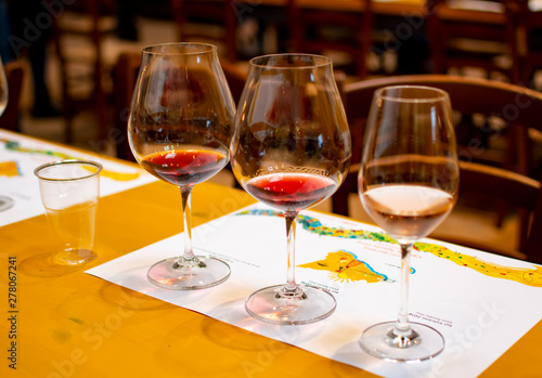 Professional wine tasting, sommelier course, cold rose and red dry wine in wine glasses