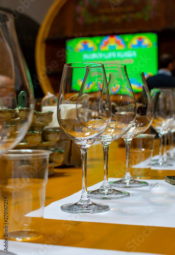 Professional wine tasting, sommelier course, clean empty wine glasses for different wines