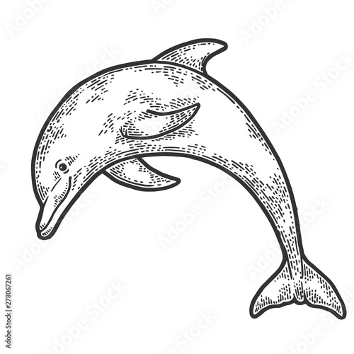 Dolphin jumping from water sketch engraving vector illustration. Scratch board style imitation. Hand drawn image.