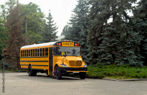 Yellow Shcool bus in green forest