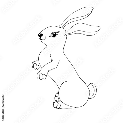 Rabbit scetch cartoons illustration object isolated design element stock vector illustration for web, for print