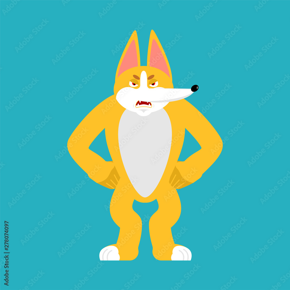 Corgi angry. Dog evil emotions avatar. Pet aggressive. Vector illustration Corgi angry. Dog evil emotions avatar. Pet aggressive. Vector illustration