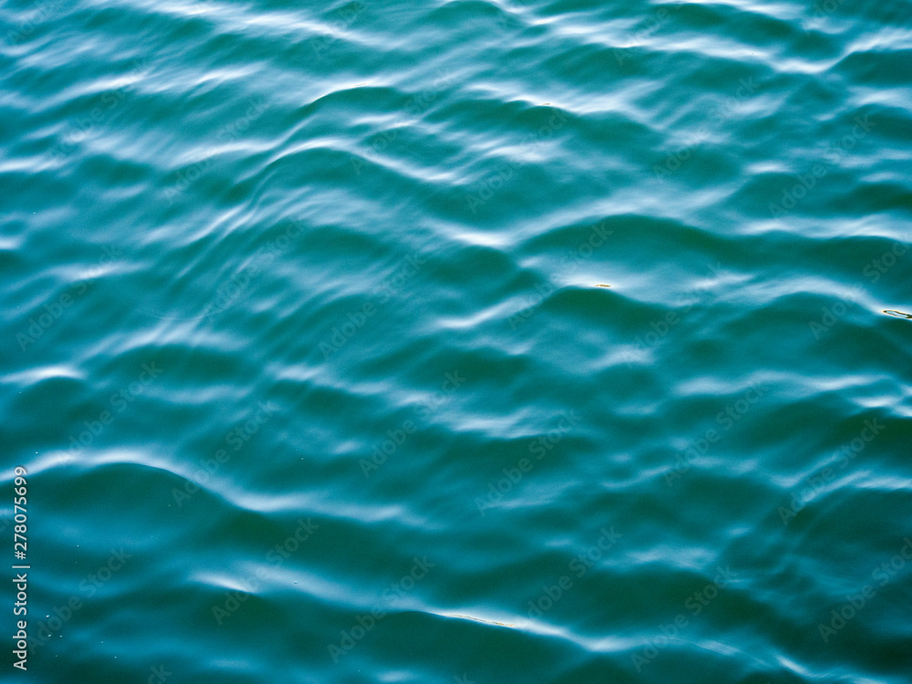 Obraz premium OLYMPUS DIGITAL CAMERA