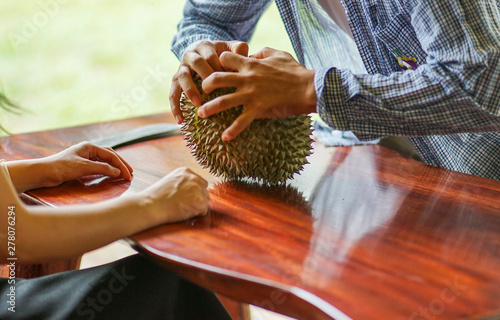 Close up male barehanded is stripping  fresh Durian fruit from plantation photo