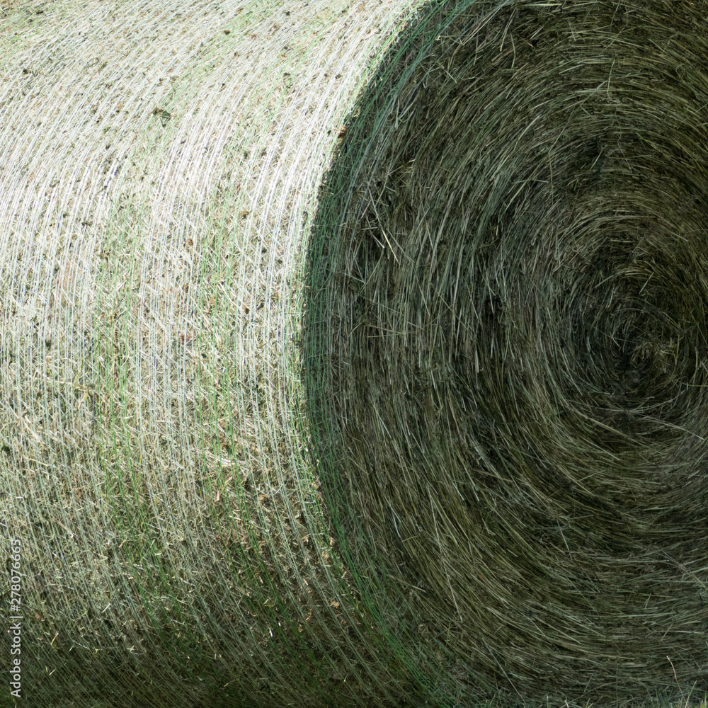 Parts of one compressed and bounded silage bale. The silage bale is ...