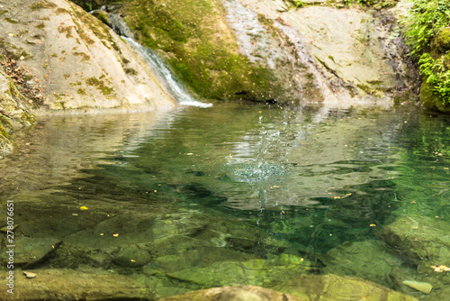 splash of water in a small italian lake among a dense lush vegetation
