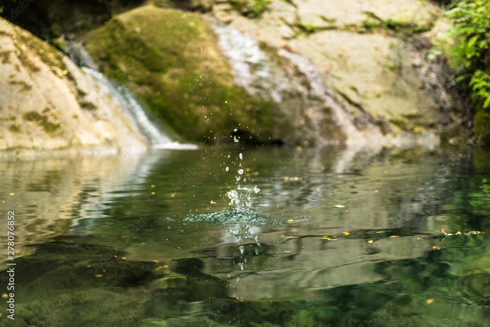 splash of water in a small italian lake among a dense lush vegetation