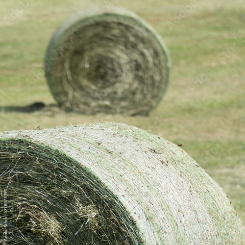 In the front focusing on parts of fresh compressed grassland plants in a green and white round bale net of one hay bale. In the background there is a second blurred rounded whole hay bale. photo