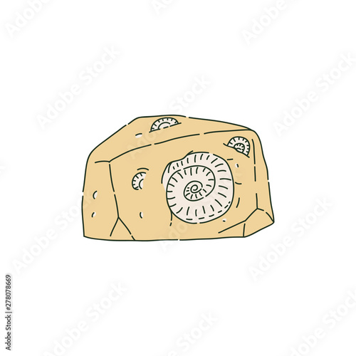 Stone with fossilized prehistoric animals like ammonites sketch style