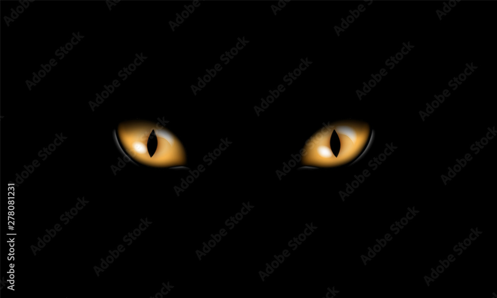 Realistic illustration of yellow or orange feline eyes or cat eye, isolated on black background, vector Realistic illustration of yellow or orange feline eyes or cat eye, isolated on black background, vector