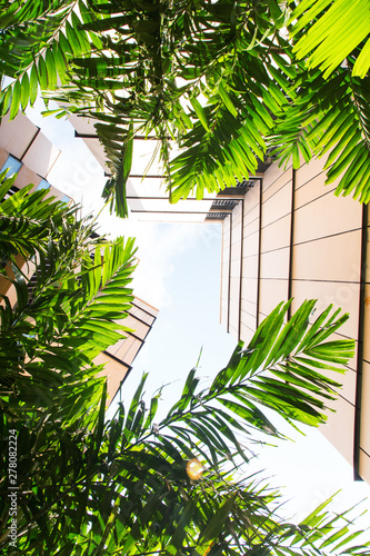 Urban architecture combine with green palm View up