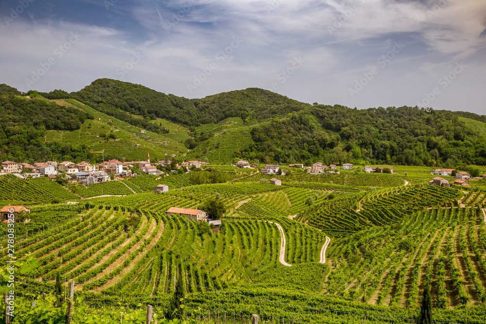 Panorama of vineyard county around Valdobbiadene