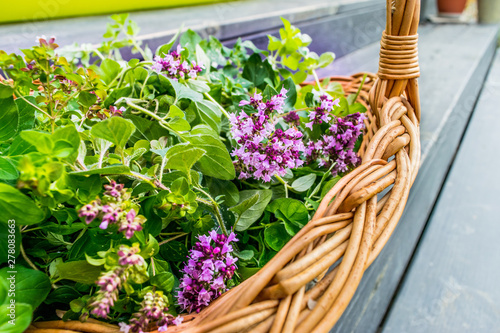 Obraz na płótnie oregano (marjoram) in a wicker basket w salonie