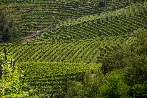 A county of vineyards around Valdobbiadene