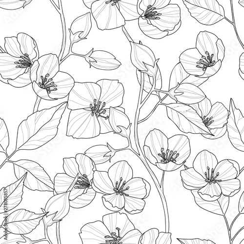 Seamless pattern of jasmine flowers and leaves, vector