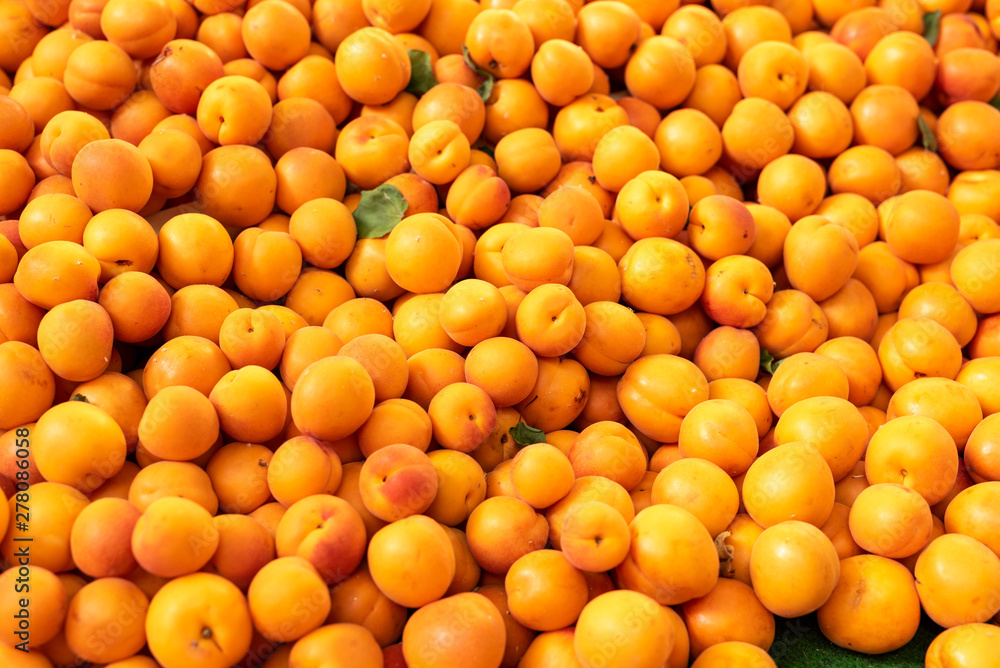 Fresh natural apricots on the street provencal market