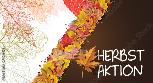 Herbstaktion Banner Hintergrund - Herbst Aktion 