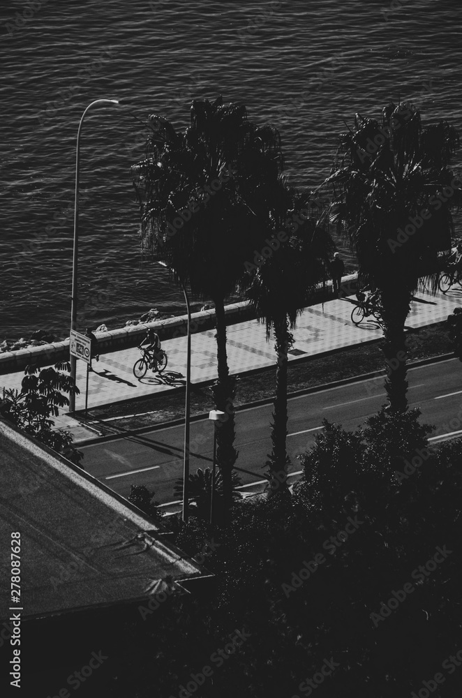 Fototapeta premium Paseo Marítimo Pablo Ruíz Picasso