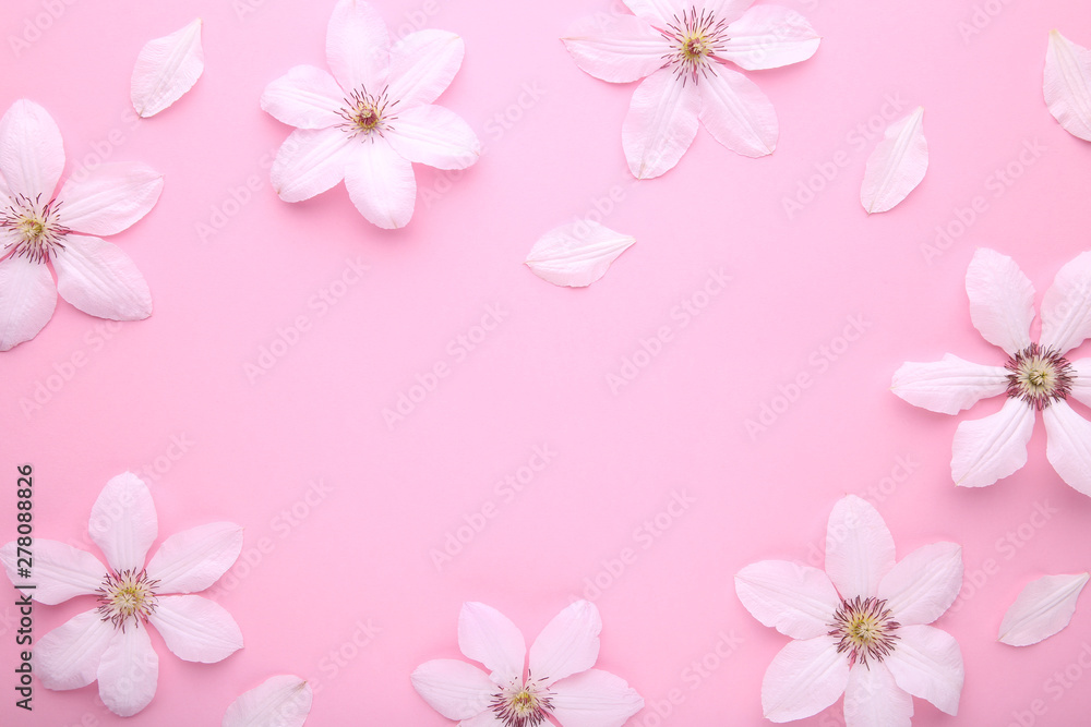 Frame of white flowers on pink background, flat lay