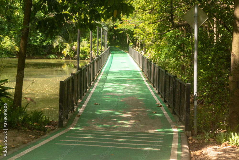 Obraz premium bridge in the forest