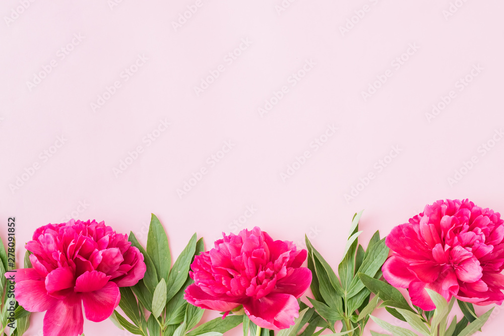 Flat lay composition with red peonies and green leaves on a pink background Flat lay composition with red peonies and green leaves on a pink background