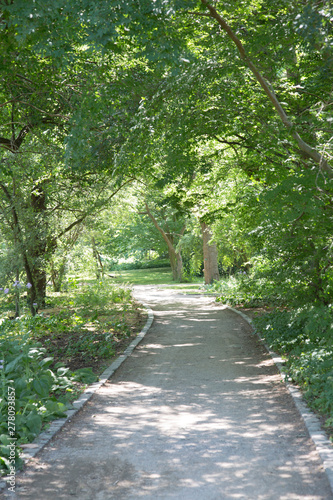 Photography Footpath in Botanical Garden; Copenhagen