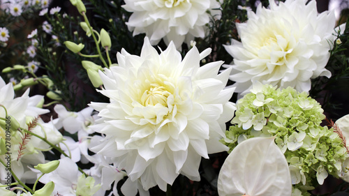 Gigantesca flor blanca (ID: 278094086)