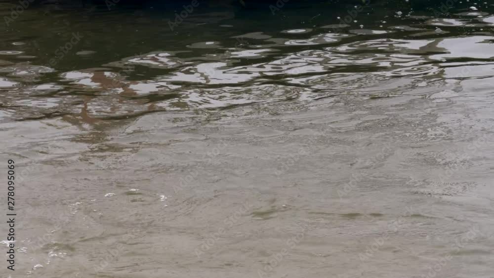 Funny children in swimsuits accelerate on wooden bridge near river and jump into water. boys are happy on holiday in village together. Summer day, river, swimming in water Funny children in swimsuits accelerate on wooden bridge near river and jump into water. boys are happy on holiday in village together. Summer day, river, swimming in water