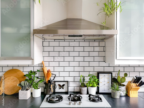 Black and white subway tiled kitchen with numerous plants and framed taxidermy insect art