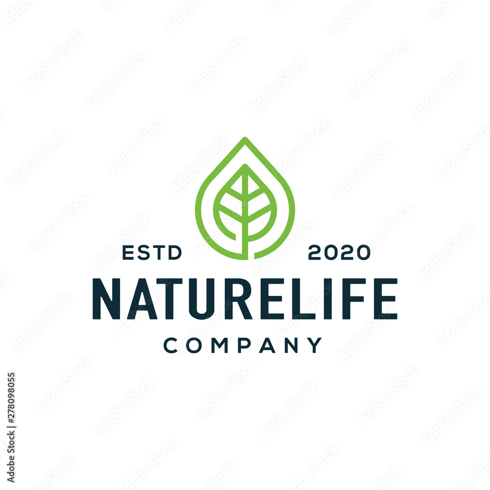 Leaf logo and icon design vector. Leaf logo and icon design vector.