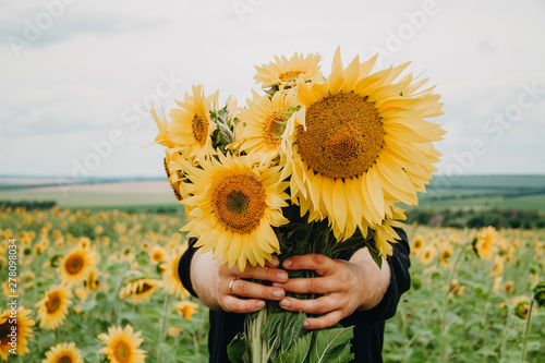 A bouquet of sunflowers closeup in male hands.