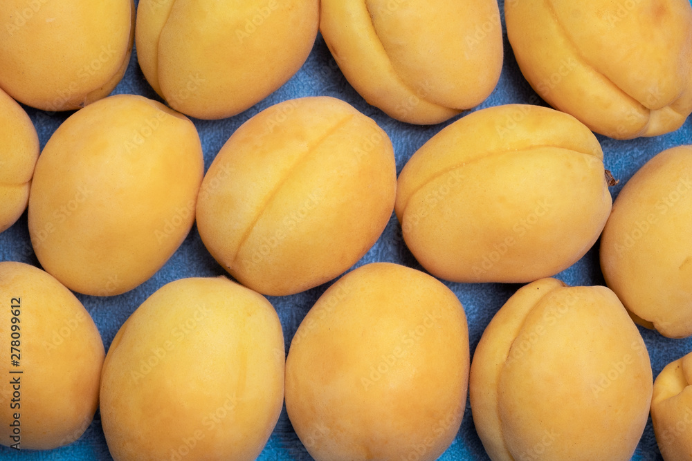 Ripe, large apricots fruit on a blue background. The view from the top. Ripe, large apricots fruit on a blue background. The view from the top.