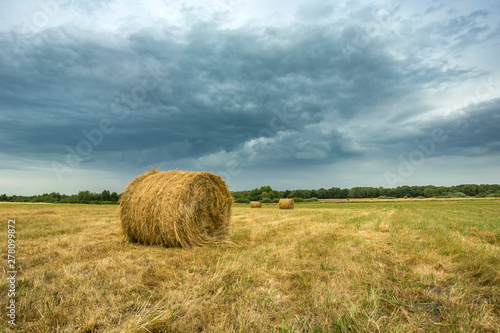 Hay bale lying on the stubble and cloudy sky