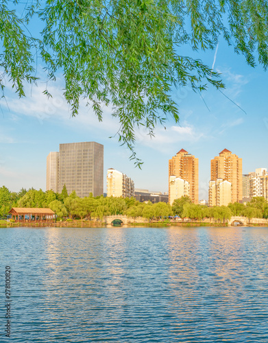 Lakeside scenery under the willow in the afternoon, Daning Tulip Park, Jing'an District, Shanghai, China photo