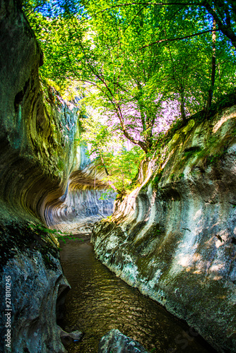 Gorge of wild river in Carpathian Mountains