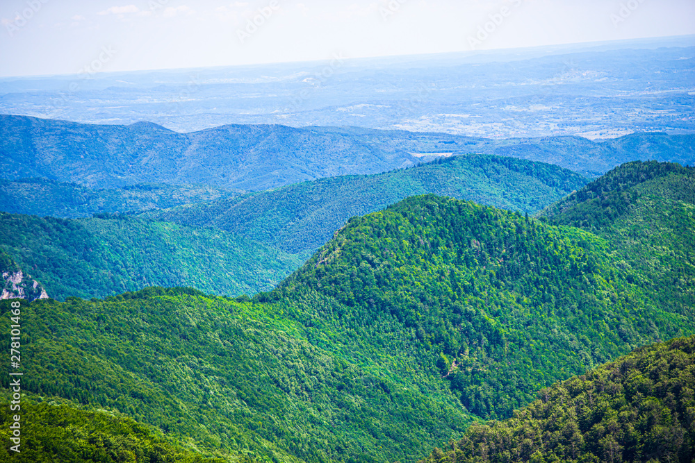 Fototapeta premium Summer landscape