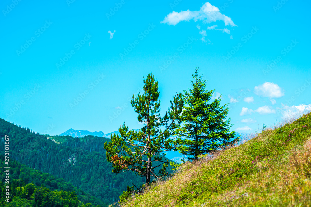 Obraz premium Landscape on the mountains