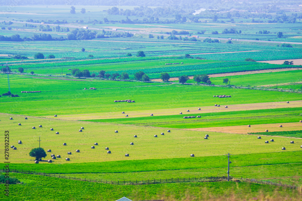 Naklejka premium Straw bales on the field