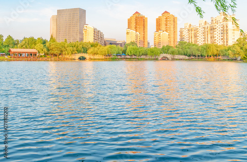 Lakeside scenery under the willow in the afternoon, Daning Tulip Park, Jing'an District, Shanghai, China photo