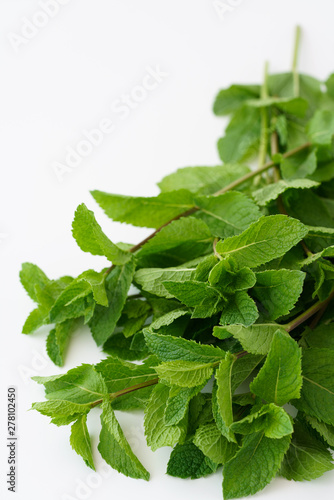 Freshly harvested organic mint on a white background