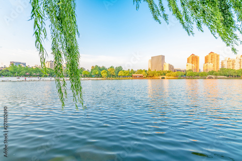 Lakeside scenery under the willow in the afternoon, Daning Tulip Park, Jing'an District, Shanghai, China photo