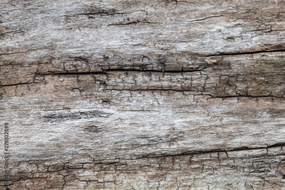 Old Weathered Cracked Wood Texture Useful for Background or as Overlay Image Old Weathered Cracked Wood Texture Useful for Background or as Overlay Image