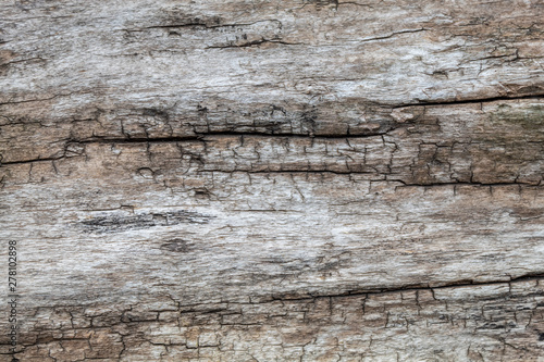 Old Weathered Cracked Wood Texture Useful for Background or as Overlay Image